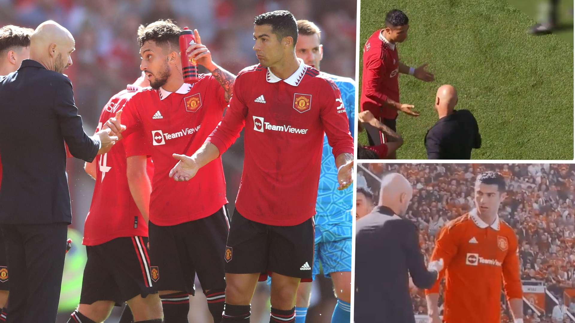 球球迷的目 球球迷的目